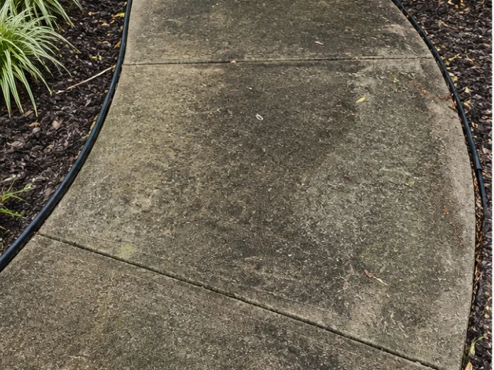 Driveway before pressure washing